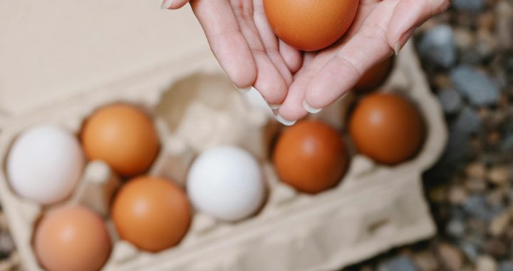 Petition to protect UK food standards against chlorinated chicken hits 60,000 signatures
