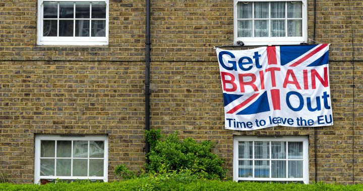 Fruit and veg from EU set to get cheaper as UK axes border checks in Brexit reset