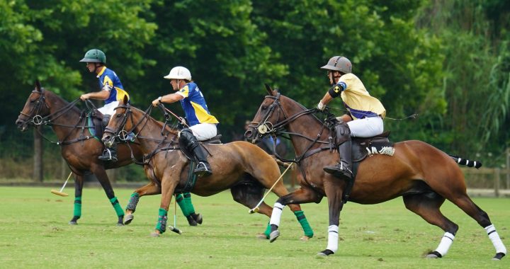 Billionaire dies after ‘swallowing a bee’ at polo match