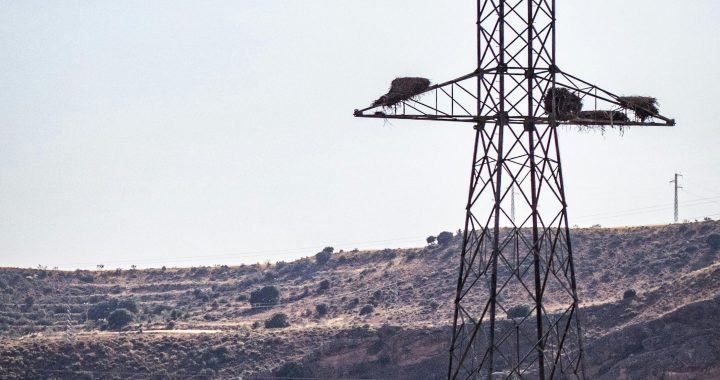 So now the Goose Stepper wants to supply our energy.